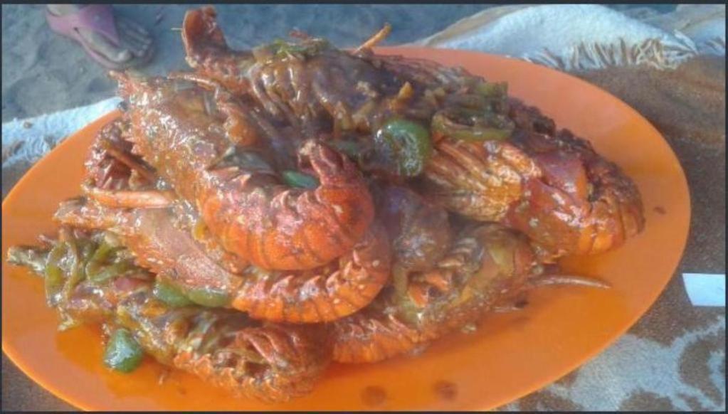 Penginapan Bayu Samudra Garut Luaran gambar